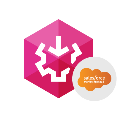 Schermata di Devart SSIS Data Flow Components for Salesforce Marketing Cloud